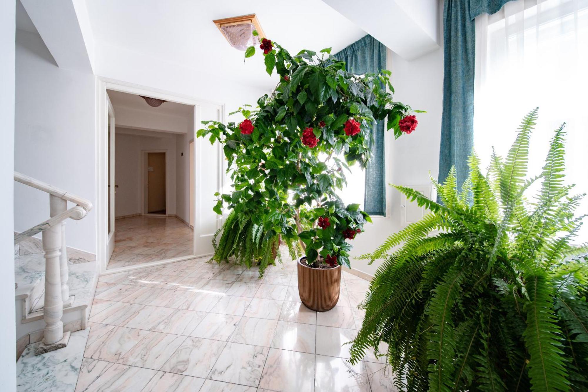 Lilla Panzio Hotel Odorheiu Secuiesc Bagian luar foto